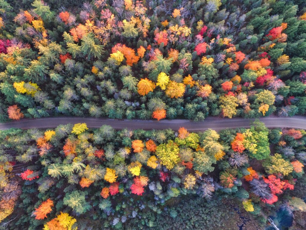 5 AI Masters Degree Programs in Georgia You Need to Know About
