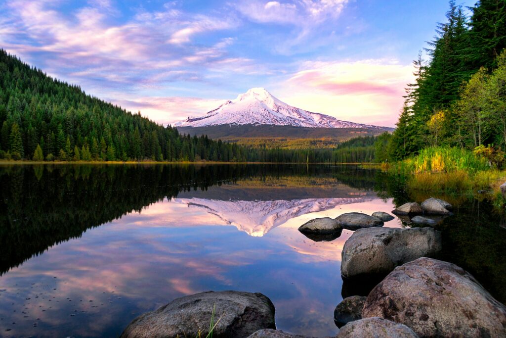 Best AI Masters Degree Programs in Oregon