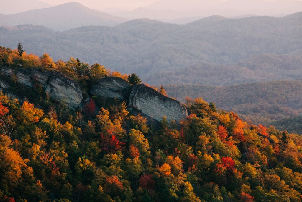 The 5 Best AI Masters Degree Programs in North Carolina 5 AI Masters Degree Programs in Georgia You Need to Know About