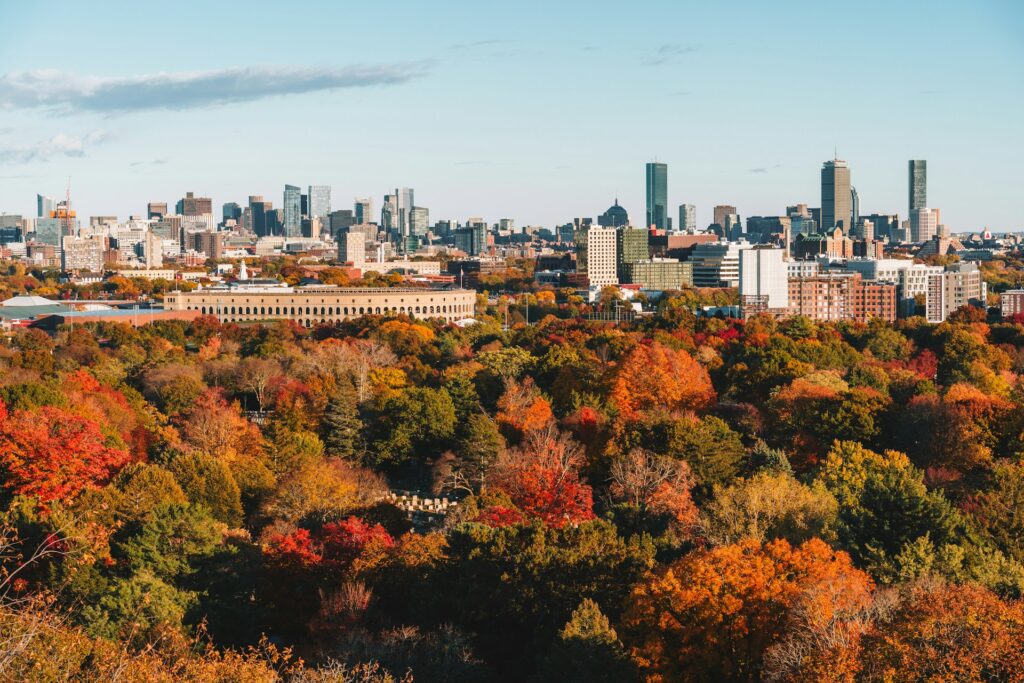5 AI Masters Degree Programs in Georgia You Need to Know About
